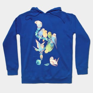 Budgie bunch bubblegum ice cream flavored Hoodie